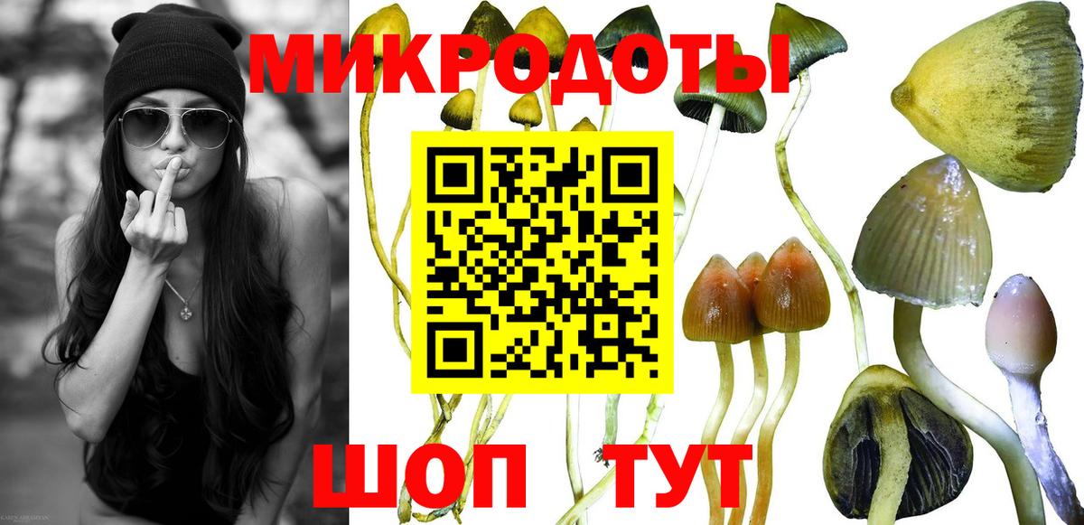 Псилоцибиновые грибы Psilocybine cubensis Отрадный